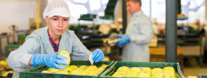 Tax Tips for Food Manufacturers in Australia